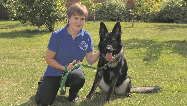 battersea rehome a dog