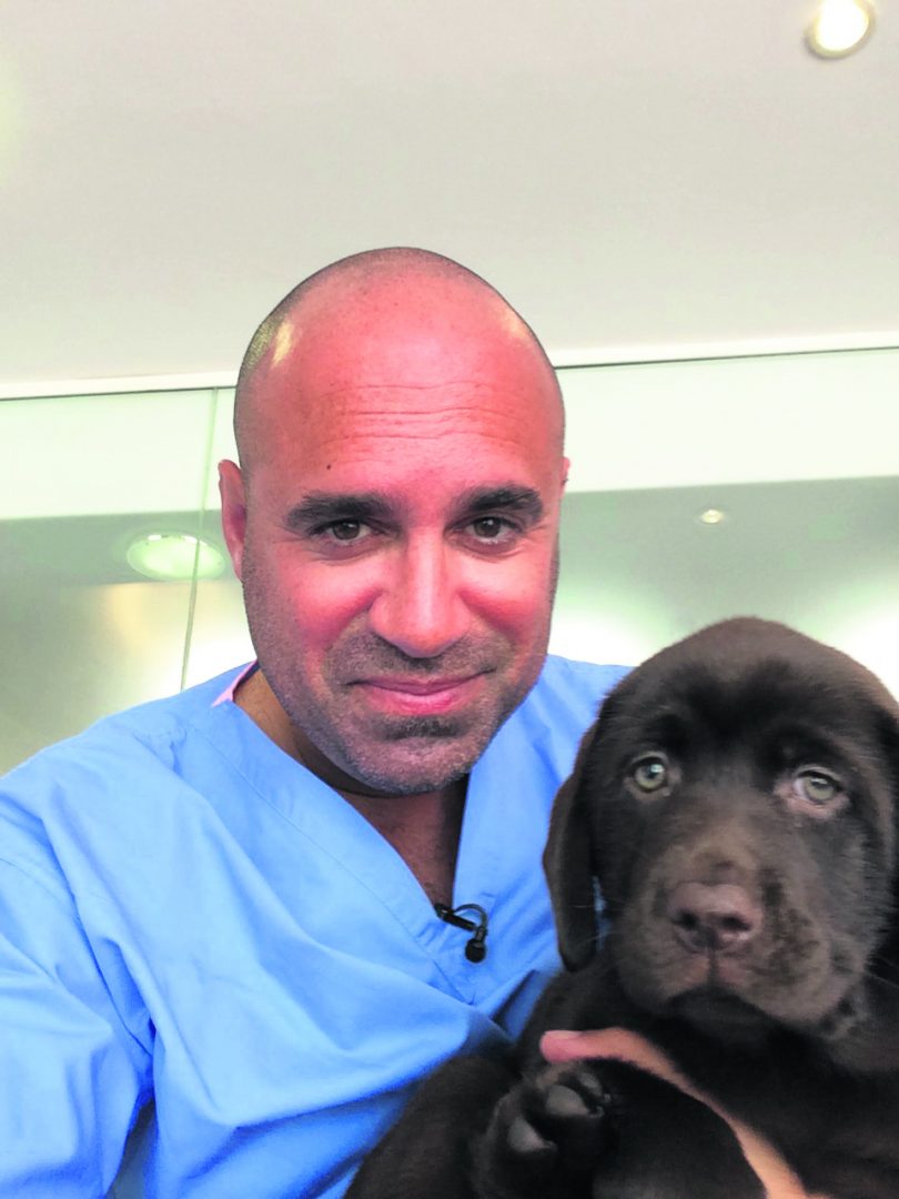 What is it like to be a Veterinary Surgeon? First Careers